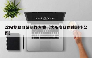 周口沈阳专业网站制作方案（沈阳专业网站制作公司）